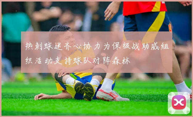 热刺球迷齐心协力为保级战助威组织活动支持球队对阵森林