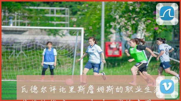 瓦德尔评论里斯詹姆斯的职业生涯或将被伤病overshadow球技表现