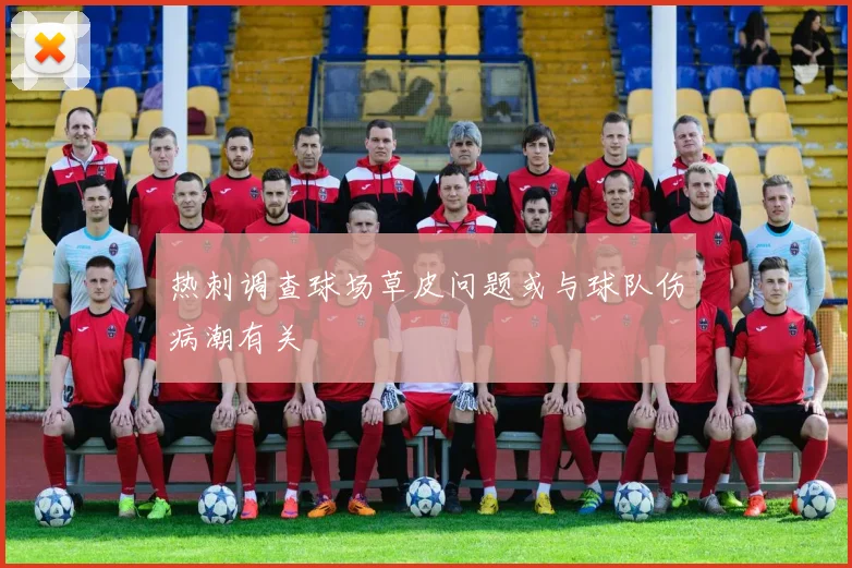 热刺调查球场草皮问题或与球队伤病潮有关
